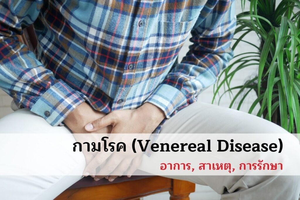 กามโรค (Venereal Disease)
